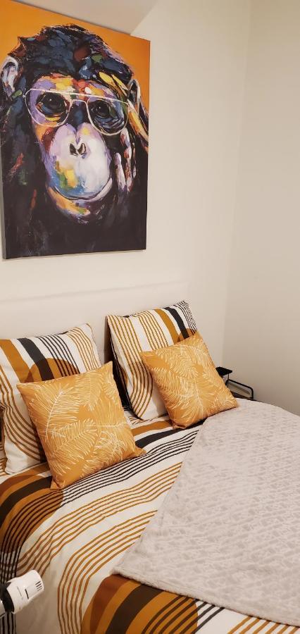 Triangle D'Or - Calme Et Cosy, Appartement 1 Chambre Saint-Quentin  Esterno foto